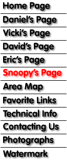 Page Index