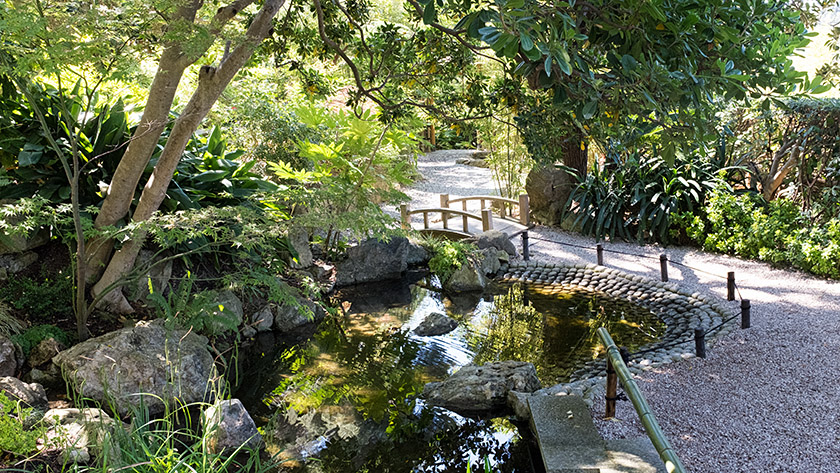 The Japanese garden