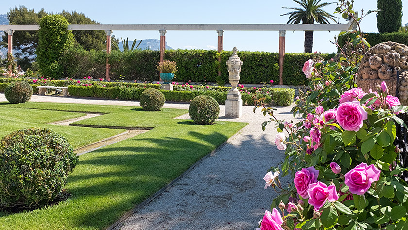 Rose hedges on the southeastern side of the villa