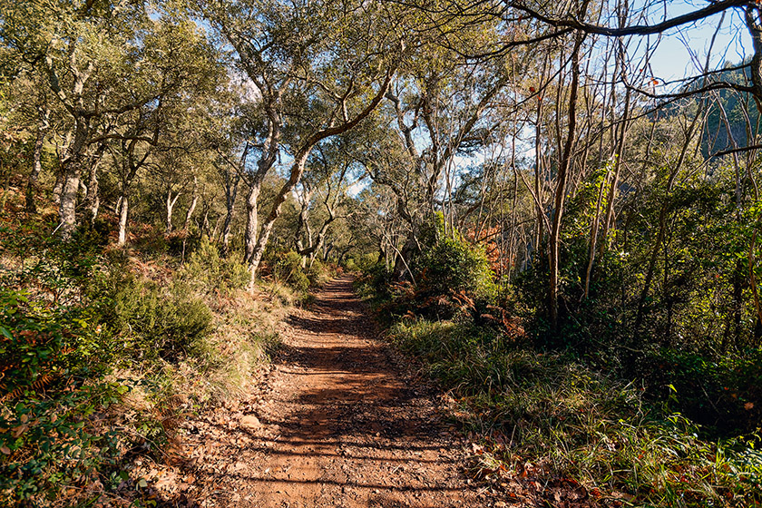 Climbing up the 'Couche de l'&Acirc;ne'
