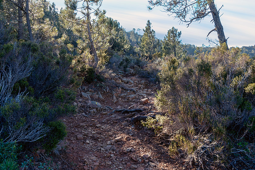 Climbing up to the 'Pic de l'Ours'