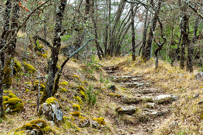 ...to the 'Plateau de Courmettes.'