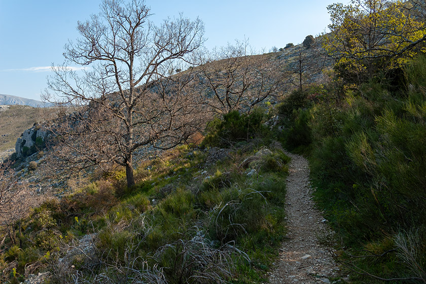 We are definitely above the tree line now
