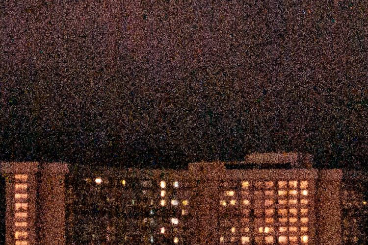 100% crop of raw file opened in Photoshop without noise reduction