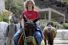 Donkey Ride