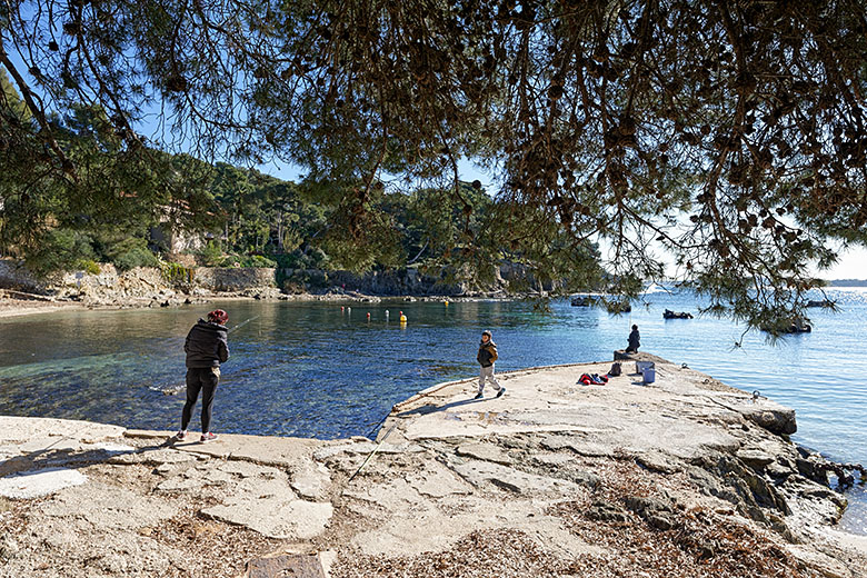 The harbor is a popular destination for family outings