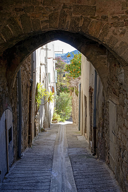 'Rue Jules Romain'