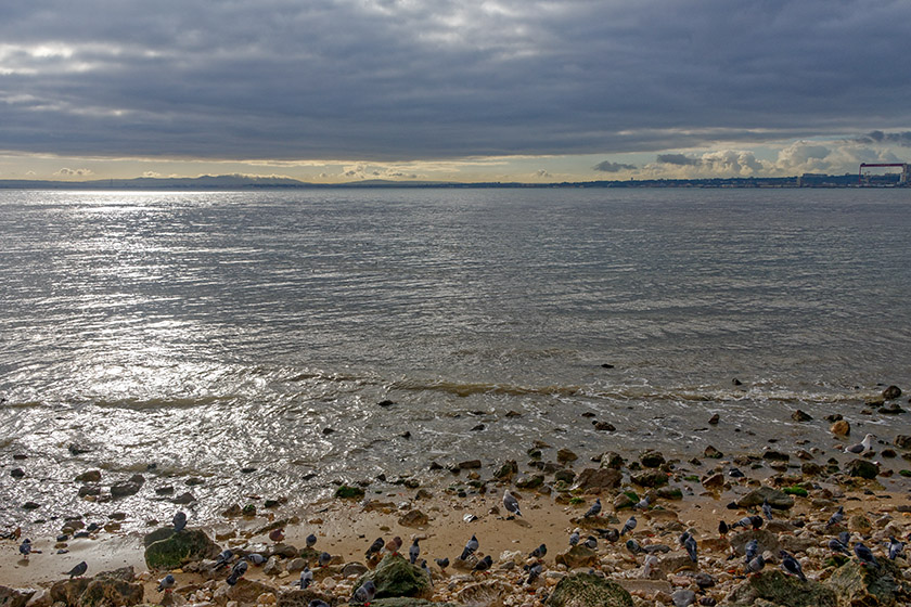By the Tagus River