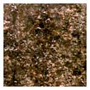 Moon Rock