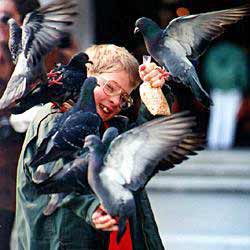 Eric with pigeons
