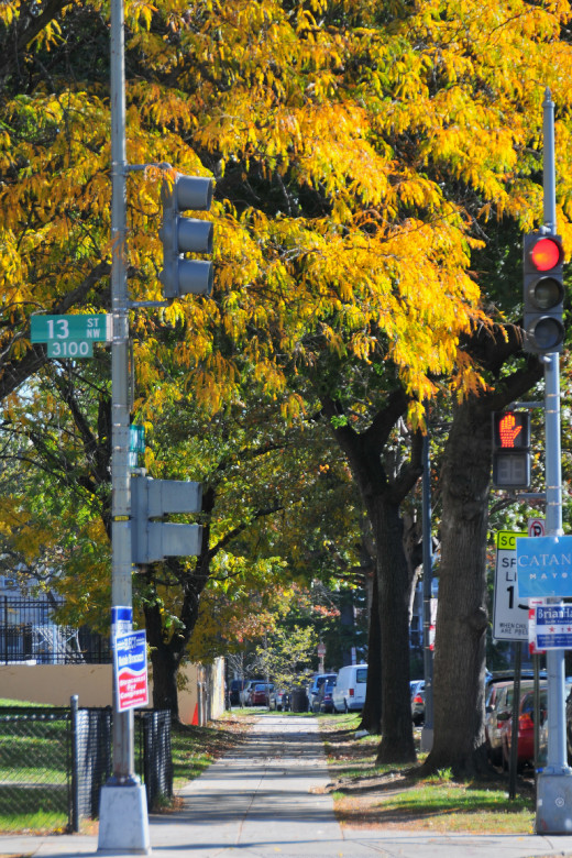 Irving Street NW at 13th Street NW
